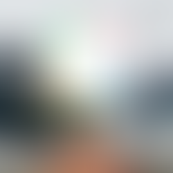 What is Everything DiSC? Meet the Tool Managers Worldwide Use to Develop Teams