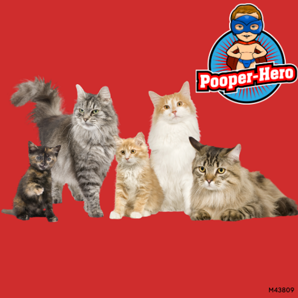 The Cat Poop Chronicles Why Flushing Isn't for Felines