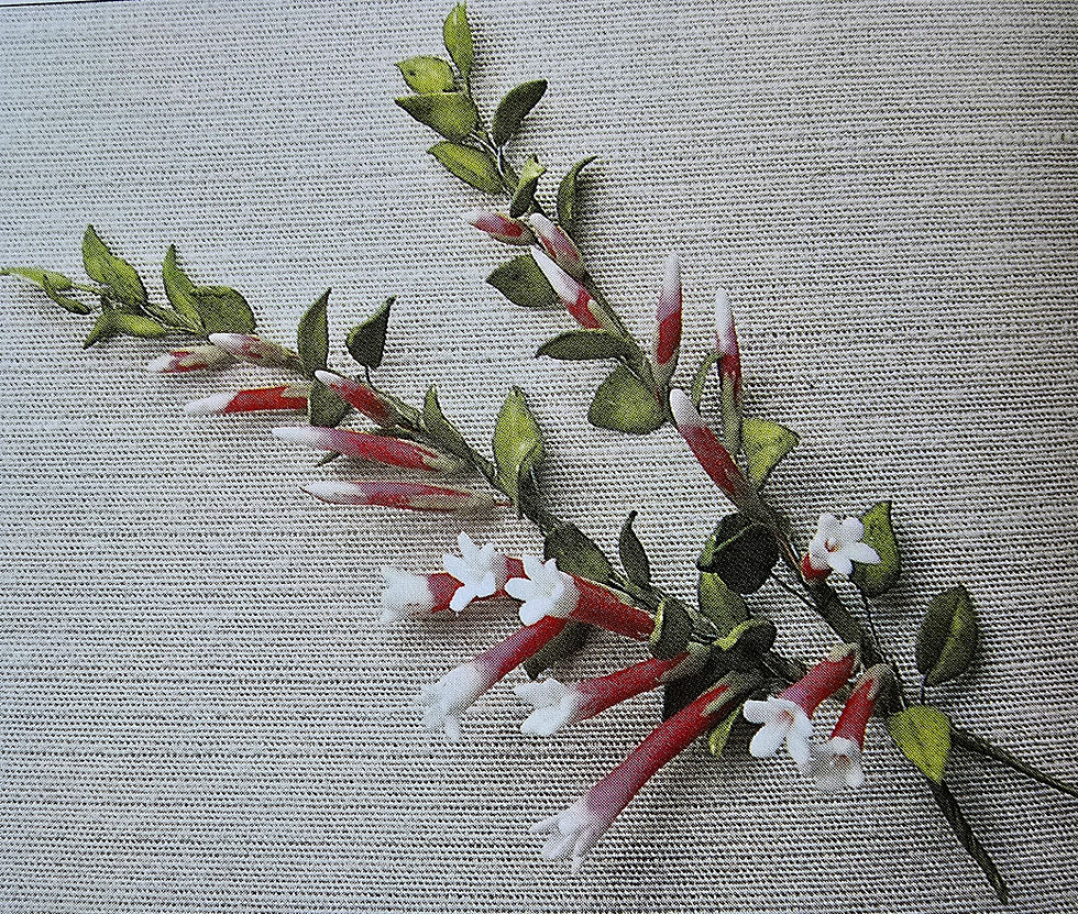 May Skills Workshop - Native Fuchsia