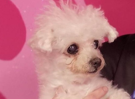 336584780_927974548402299_72286198238213