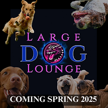 Largedoglounge.png.PNG