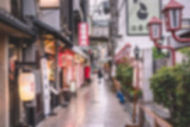 CMS Mission Japan