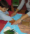 DSCN4137.1.jpg