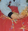 DSCN3687.jpg
