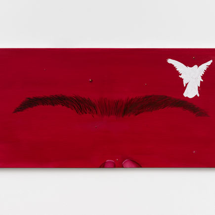 "Se eu soubesse antes o que eu sei agora", tela da artista Giulia D'Andrea