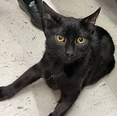 2025-11-07 Novak.jpg