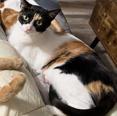 2025-11-30 Rocky Road.jpg