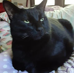 2025-11-30 Navin.jpg