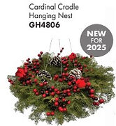 cardinal cradle.jpg