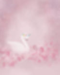 cygne