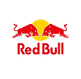 RedBull Racing Team .png