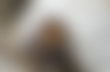 ¡Impresionante! Sandwich Qbano asume un compromiso libre de jaulas