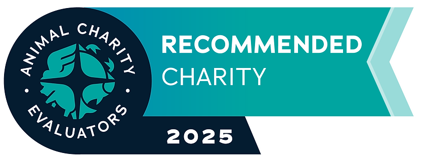 ace-2025-badge-recommendedcharity-v2.png