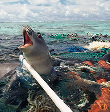 header-ghost-gear.jpg