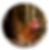 CF-Col.png