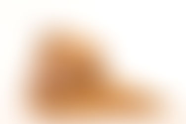 วีแกนกินถั่วเหลืองทำลายโลก จริงหรือไม่?