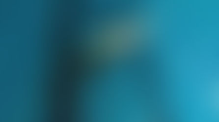 กรีนพีซเผย 85% ของขยะในบางพื้นที่ของมหาสมุทรเป็นอุปกรณ์จับปลา