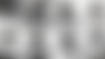 We are proud to be an 80% female organization