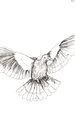 Fear and delight, take flight