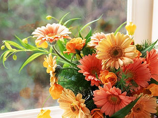 窓辺の花