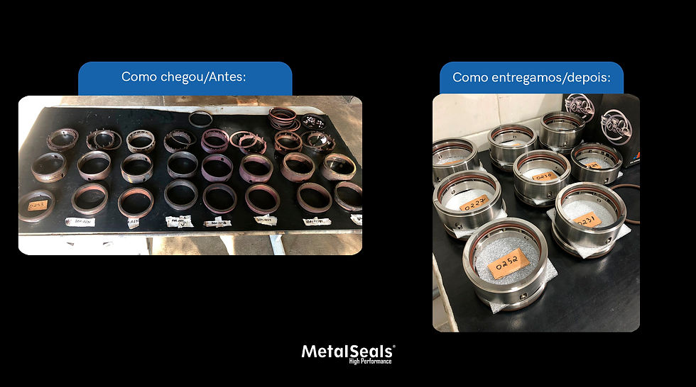 reforma selos mecânicos