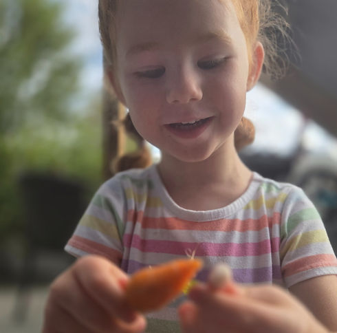 looking at carrot_edited.jpg