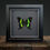Thumbnail: Emerald Swallowtail (Papilio palinurus) Gothic Box Frame