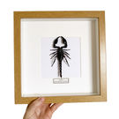 Insect (Scorpion) in a frame