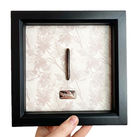 Millipede with Plaque.JPG