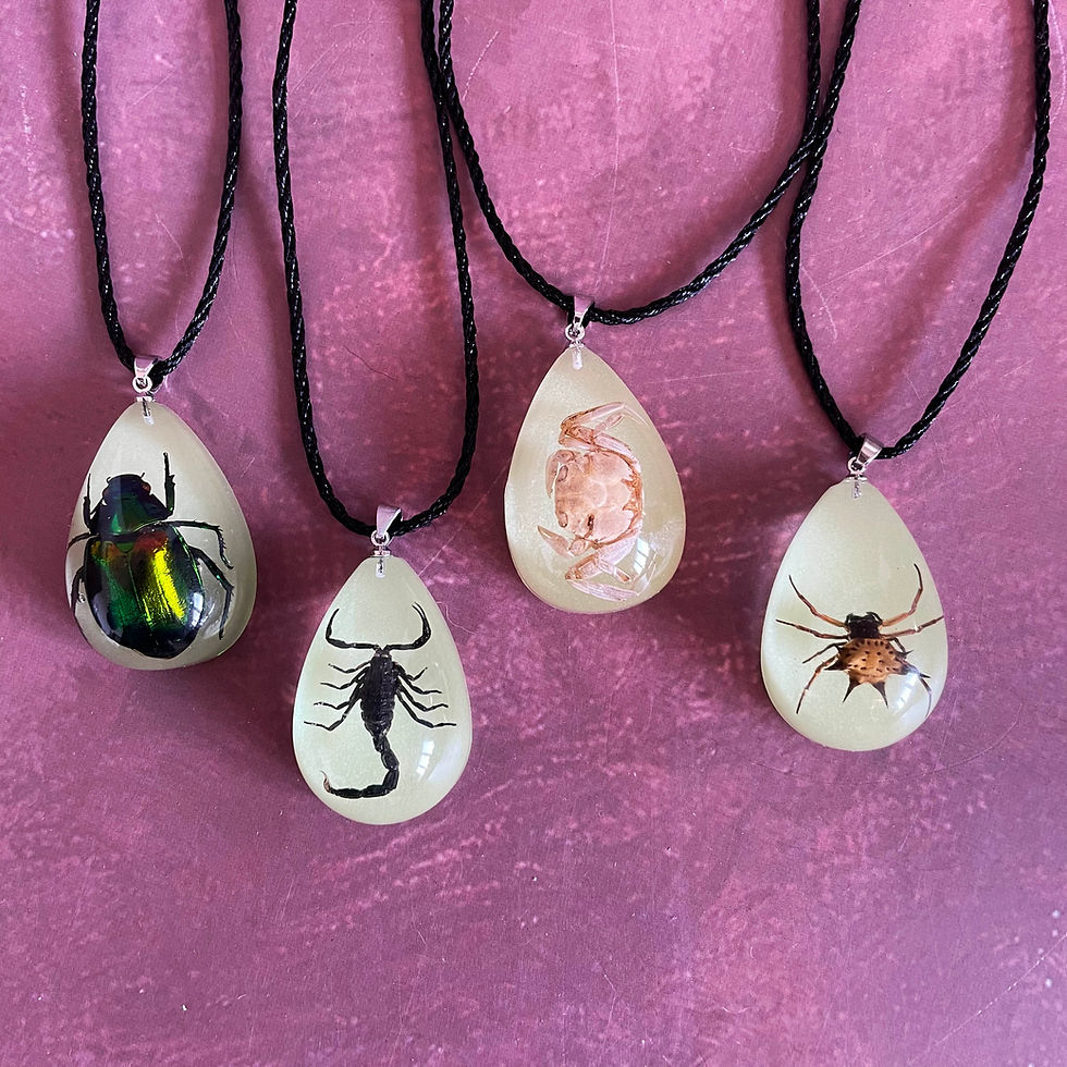 Thumbnail: Glow in the Dark Beetle Cord Necklace