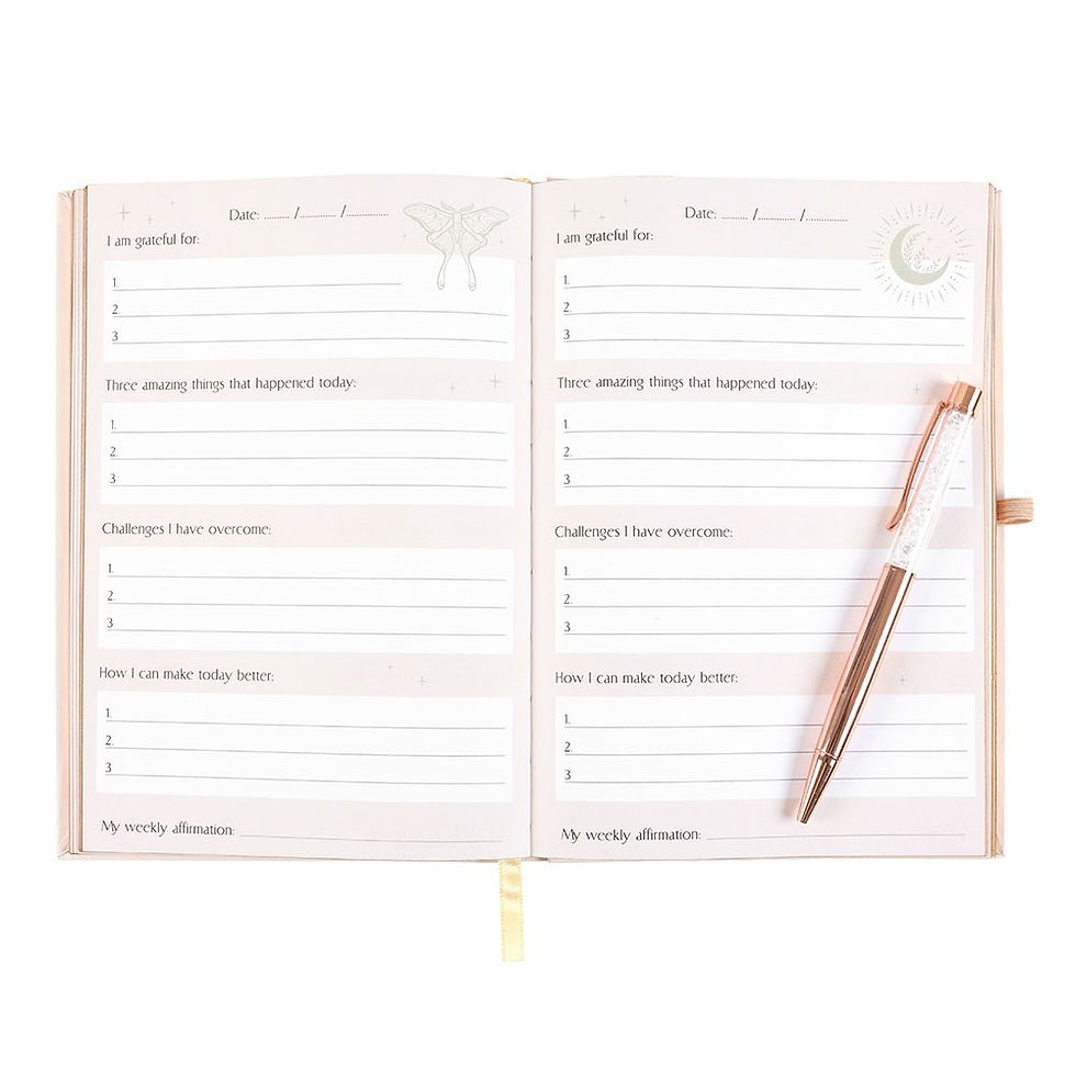 Thumbnail: Luna Moth Daily Reflection Journal with Quartz Pen