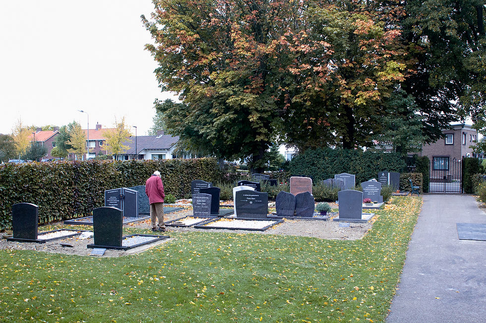 20151014-_MG_7037-bewerkt-bewerkt-bewerk