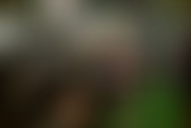 There’s No Such Thing as a Perfect Product, Only the Best