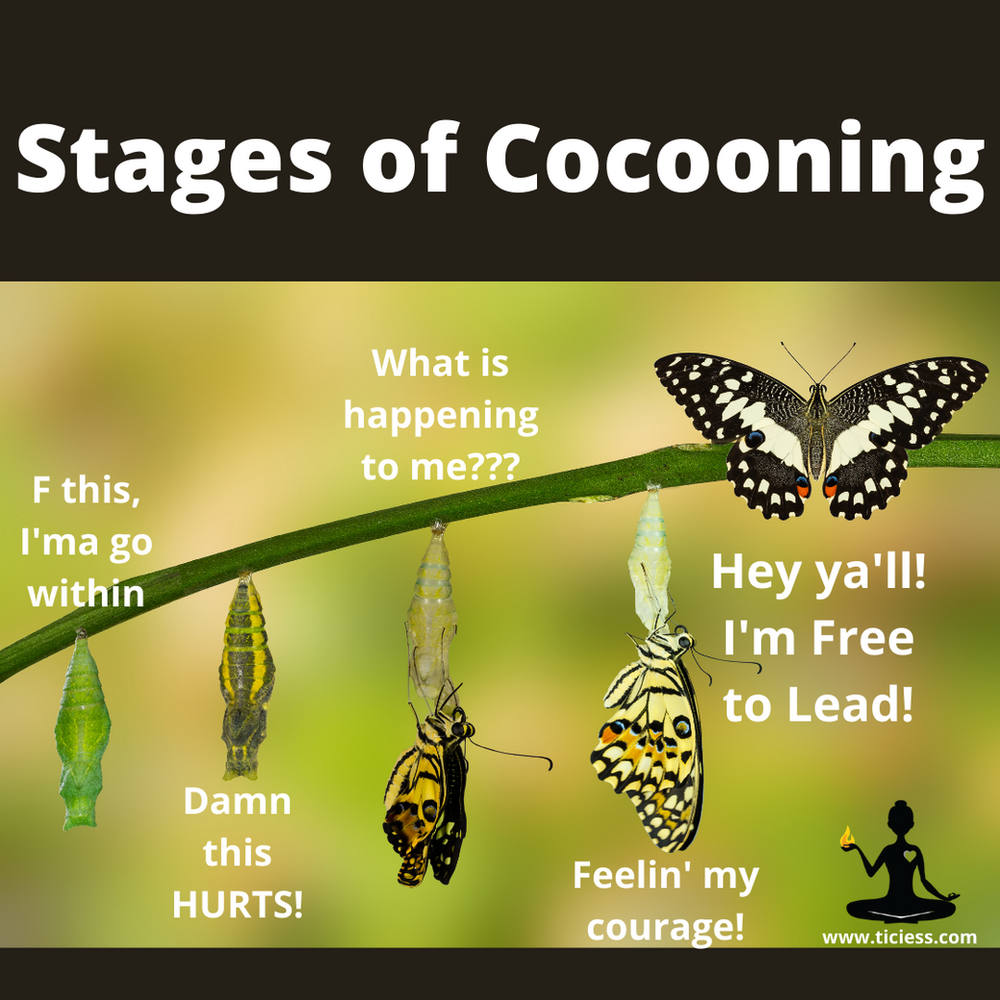 Cocoons Are For ALL Of Us!