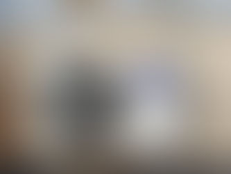 Thermal Imaging: Essential Home Inspection Insight