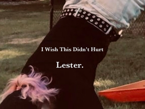 I Wish This Didn’t Hurt - Lester. EP Review
