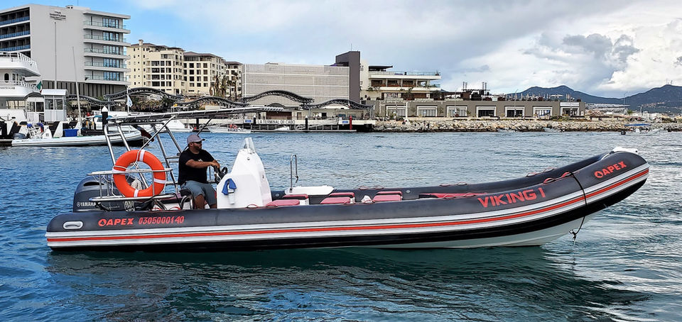 20200101_140007 viking 1 adj.jpg