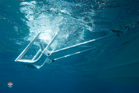 DSC01860 ladder2 w_ logo copy.jpg