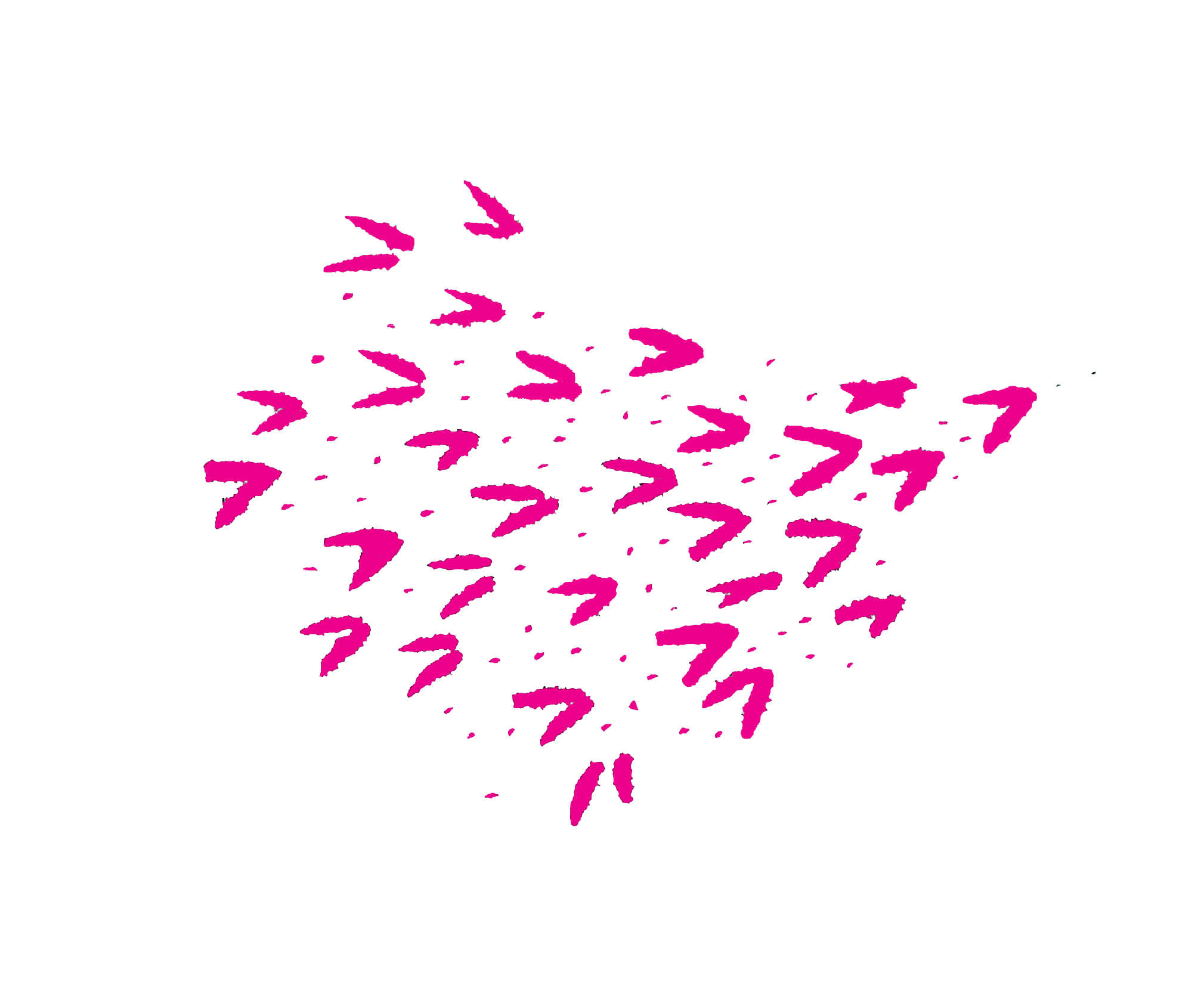 rosa2.gif