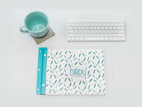 From Graphic Design Portfolio to Birdy Creative Services: A Journey of Entrepreneurship