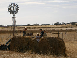 Sustainable farming in Kangaoro Island