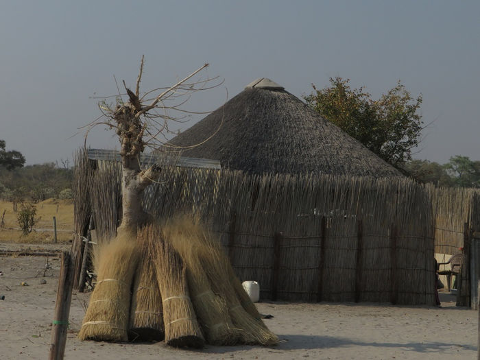 2016 Botswana septiembre II