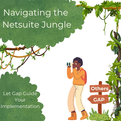 Navigating the Netsuite Jungle