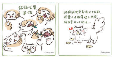 貓咪很難餵藥怎麼辦? 五秒完成的一個人餵貓吃藥技巧大公開!搭配貓餵藥神器,餵膠囊再也不會讓貓口吐白沫了
