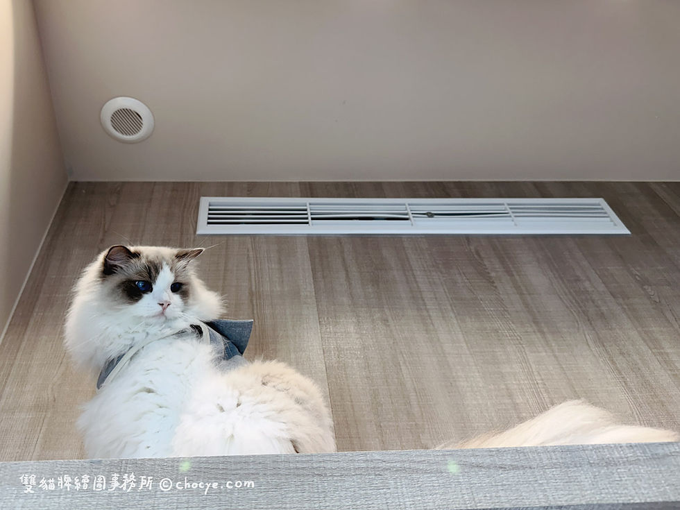 喵吉拉渡假村 環境