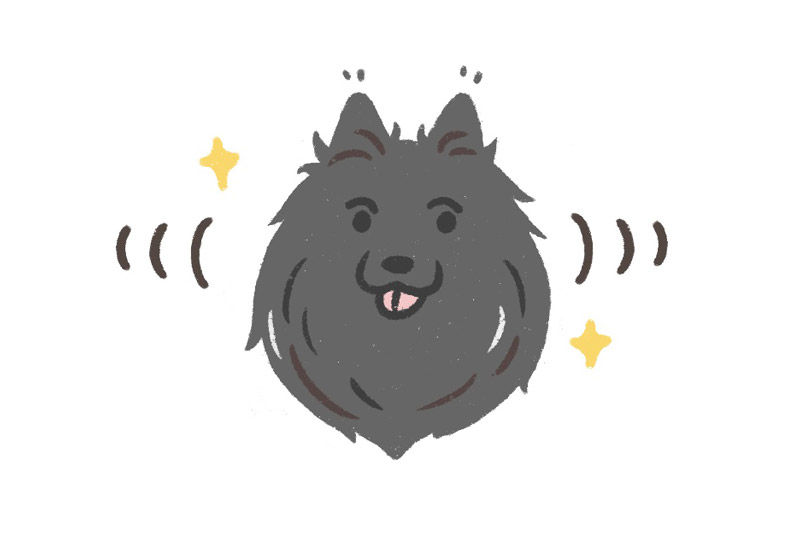心輔犬戚風畫像 版權所有 chocye.com