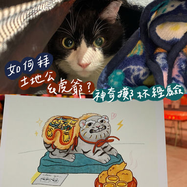 治療照顧生病寵物,覺得陷入困境?如何拜土地公和虎爺,貓咪康復後回顧擲杯的神奇經驗分享