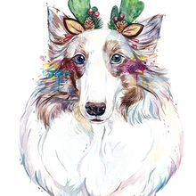 喜樂蒂水彩寵物肖像