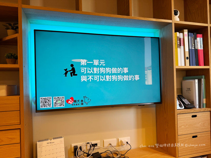 心輔犬課程,可以與不可以對狗狗做的事