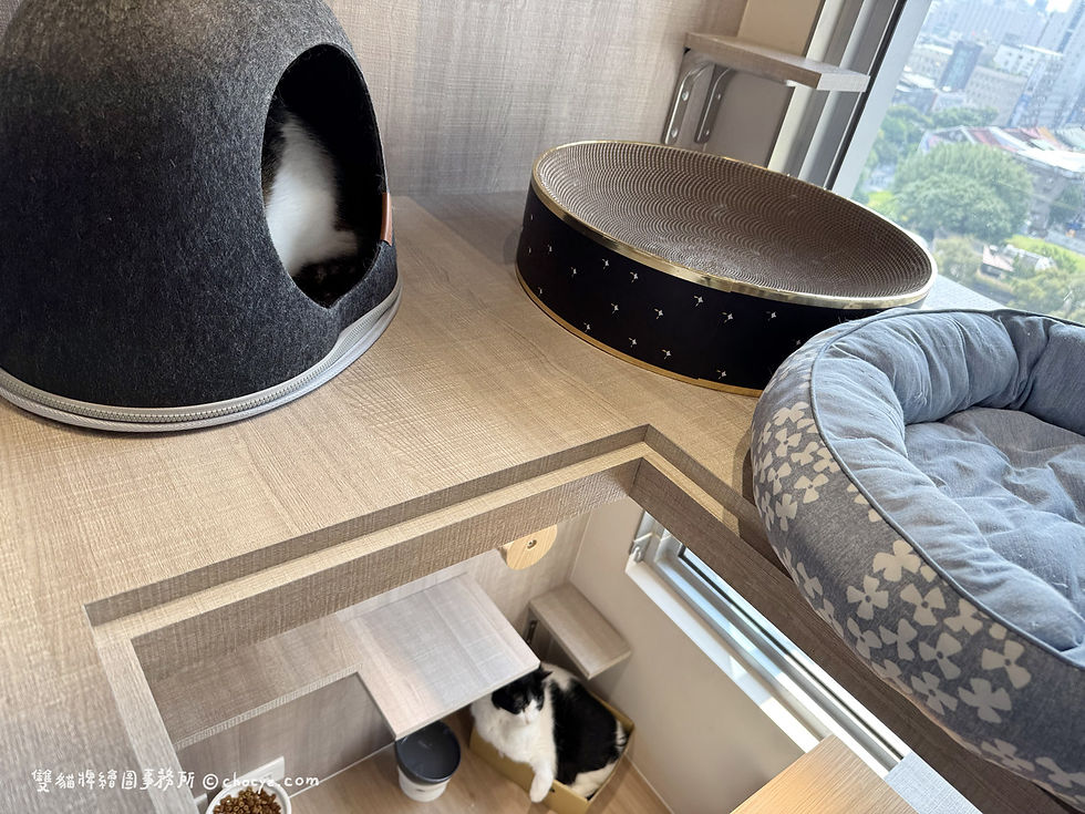 喵吉拉渡假村 房型